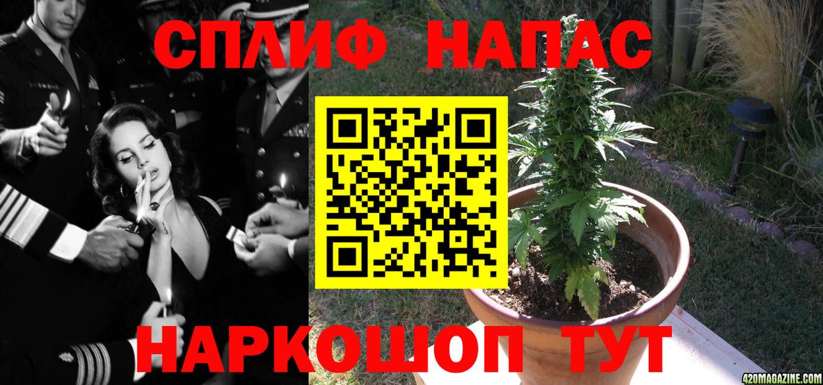 Бошки Шишки AK-47 Зерноград